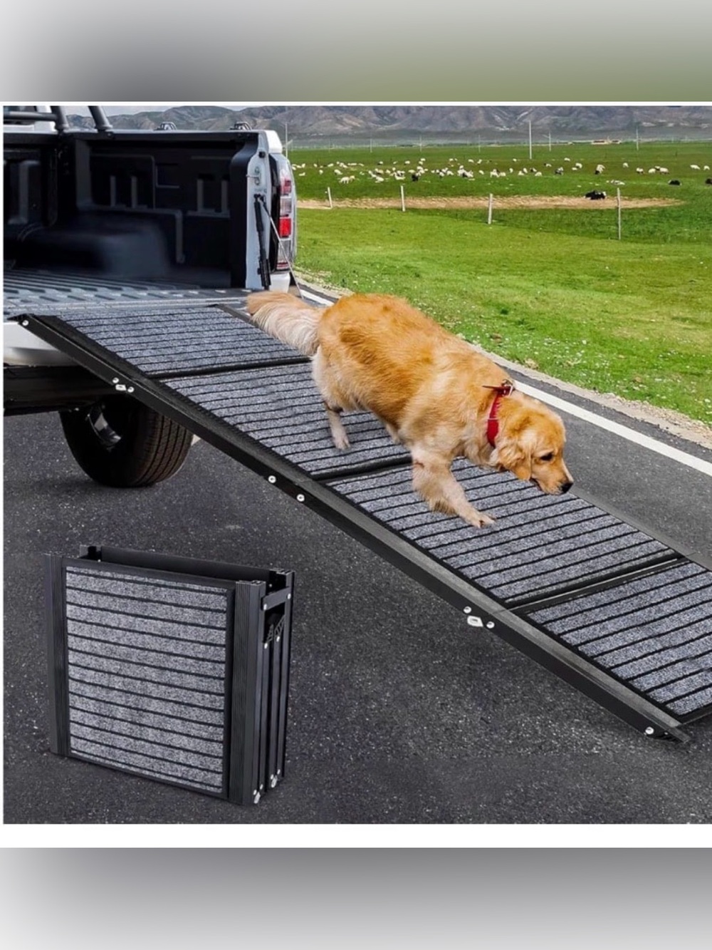 Dog Car Ramp, Protable Stairs for Large Dogs with Anti-Slip Rug
